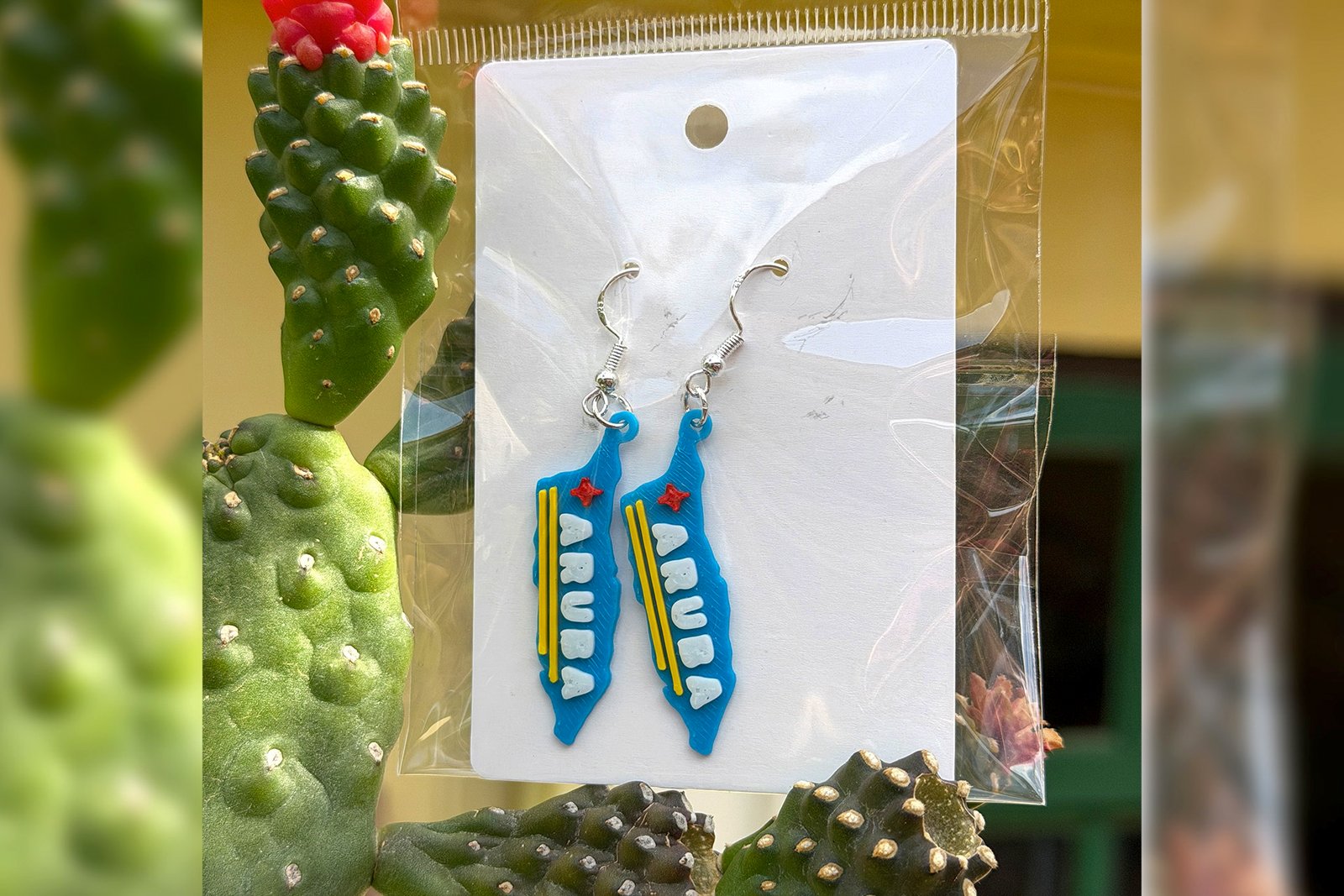 Earrings - Aruba map