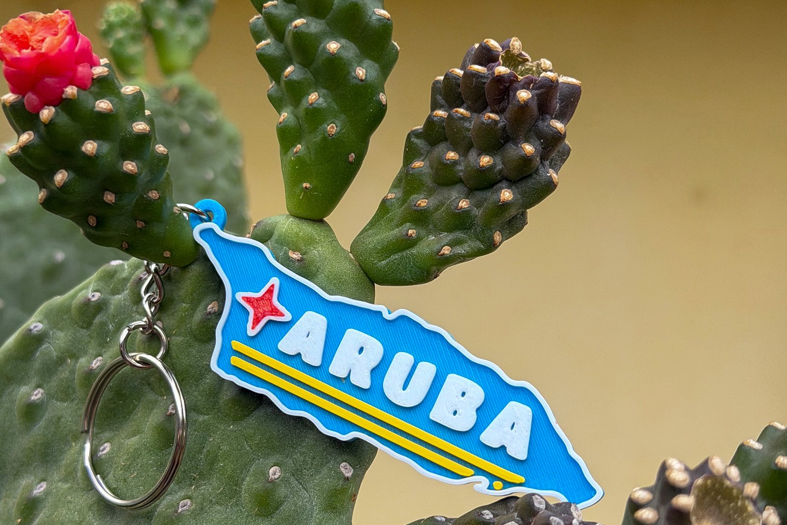 Keychain - Aruba map (CUSTOMIZABLE)