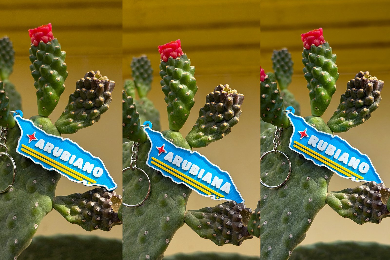 Keychain - Aruba map - Rubiano