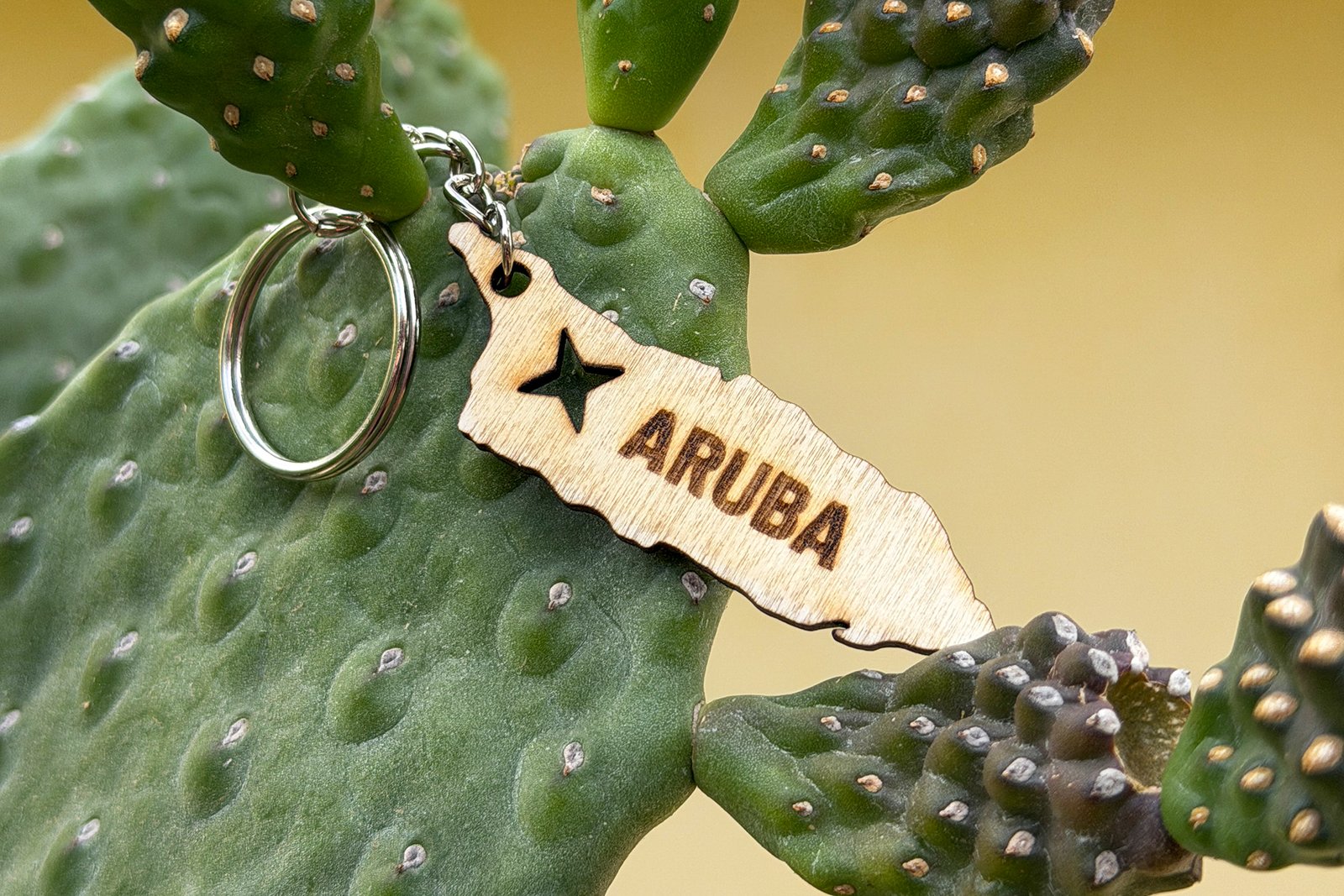 Keychain - Wood - Aruba map