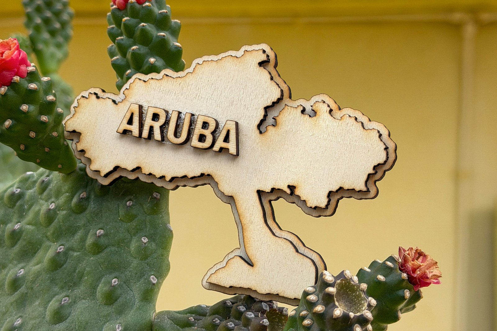 Magnet - Wood - Fofoti